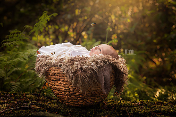 Gold Coast Outdoor newborn Photographer, photography></a>
                        </div>
                    </div>
                    <div class=